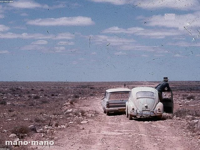 VW Vocho clásico 1998 — 1